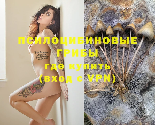 mix Алексин